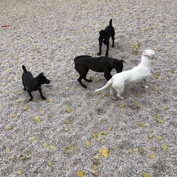 Get Pet Food Store Green Bay Images Pet My Favourite