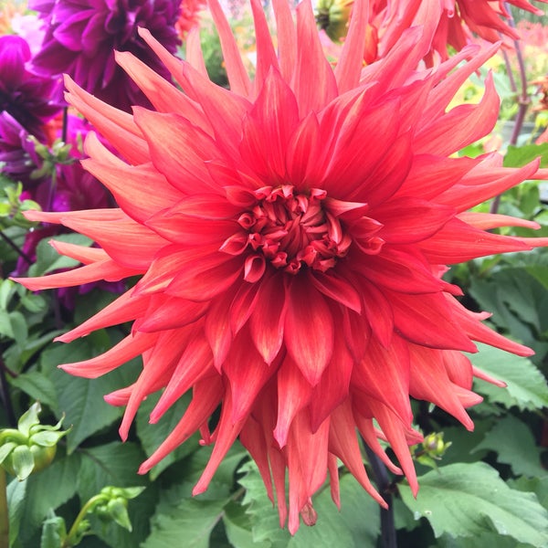 Photos at The Home Depot Central Emeryville Emeryville, CA