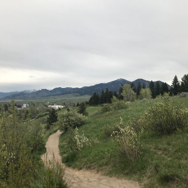 Albums 95+ Pictures Walter And Mary Burke Park Photos Completed