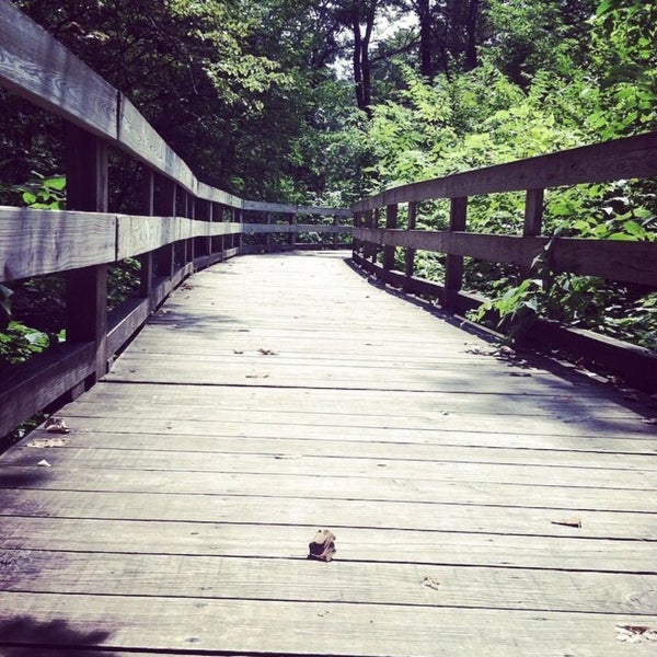 Lodge Of The Locust 6 visitors