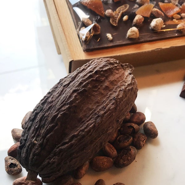 Alain Ducasse Chocolate