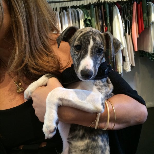 Bleu Clothing 454 S LA Brea Ave