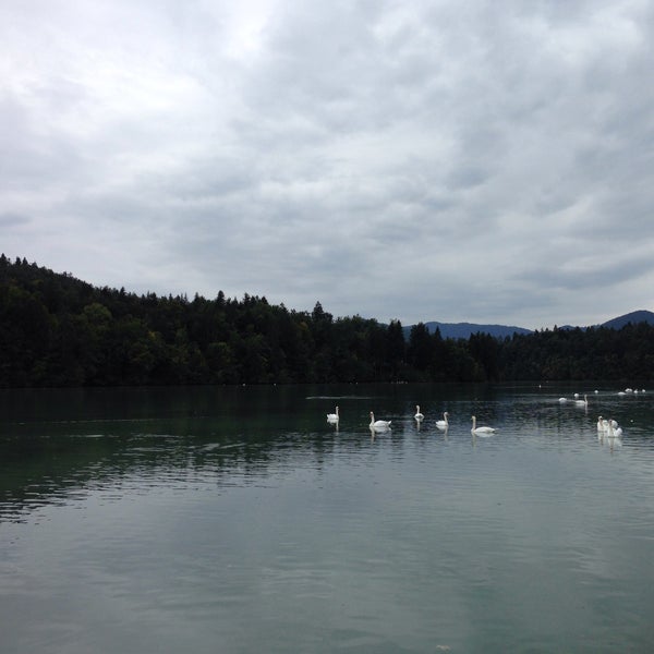 Photo taken at Zbiljsko jezero by ter on 9/27/2015
