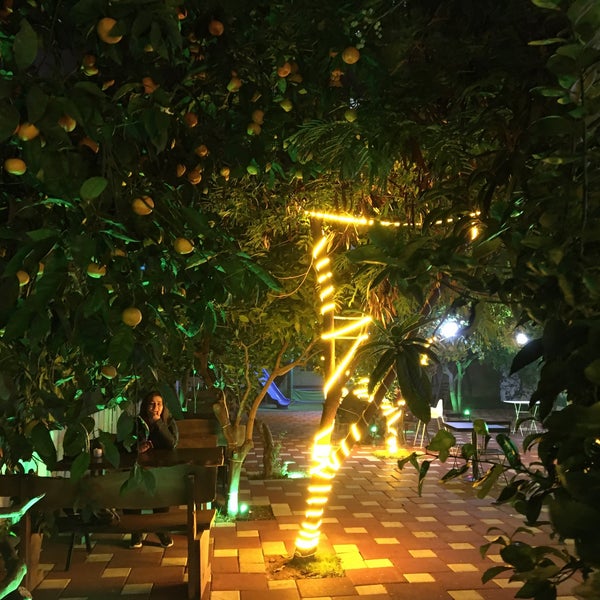 Кафе хурма новороссийск