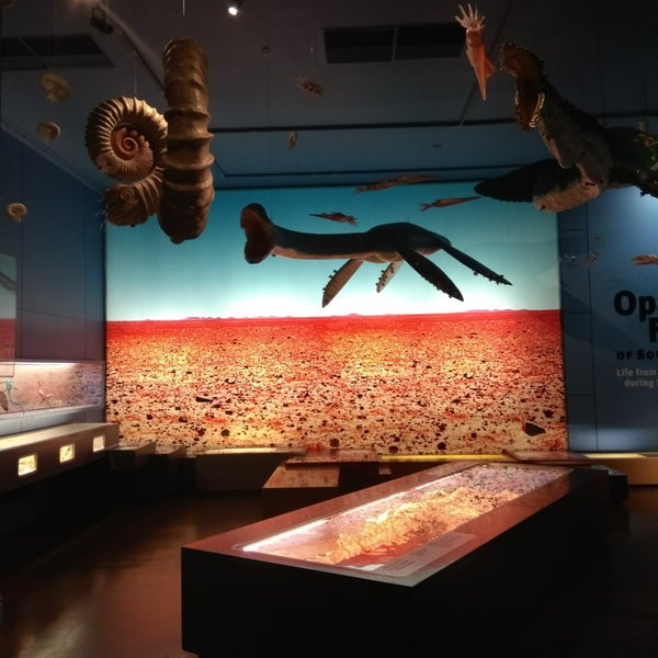 10/18/2017 tarihinde Swee Jin L.ziyaretçi tarafından South Australian Museum'de çekilen fotoğraf