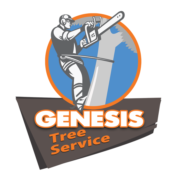 Best Tree Service Companies