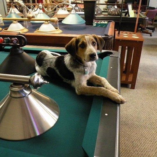 Lexington Billiards & Spas Lexington, KY