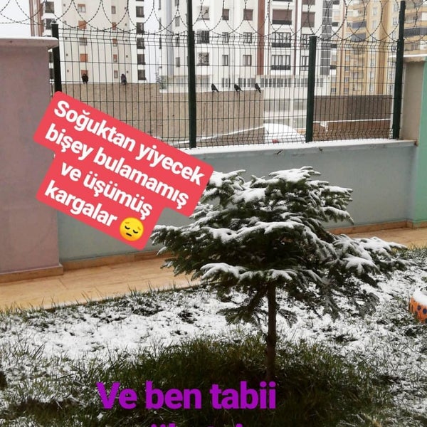 abdulkadir gulluoglu ogrenci yurdu 4 tips from 1567 visitors