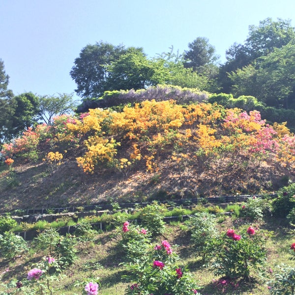 Photos At 長谷ぼたん園 南部町 青森県 Photos At 長谷ぼたん園 南部町 青森県