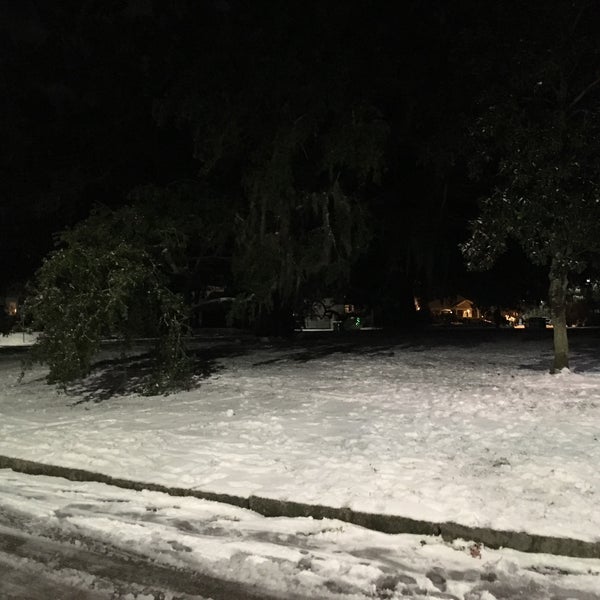 McCauley Park Ardsley Park Chatham Cresent 2 tips