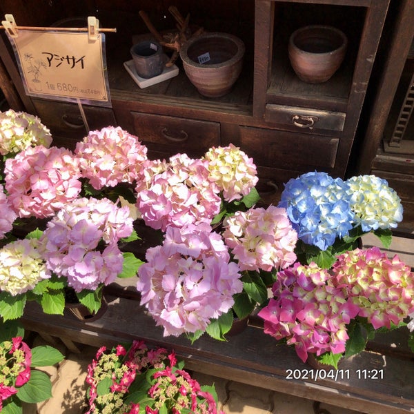 Photos At とうま園芸 Flower Shop In 所沢市