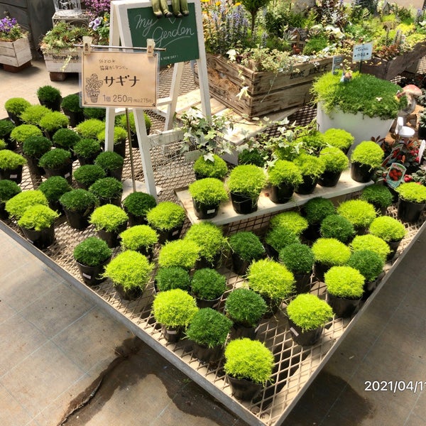 Photos At とうま園芸 Flower Shop In 所沢市