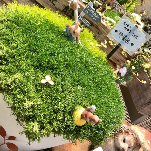 Photos At とうま園芸 Flower Shop In 所沢市