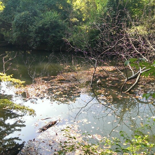 Photo taken at Cranford Canoe Club by Matt F. on 10/5/2013