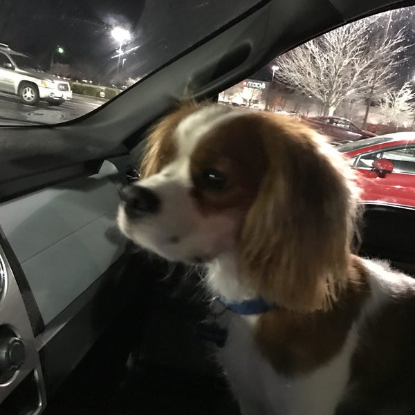 PetSmart Bel Air, MD