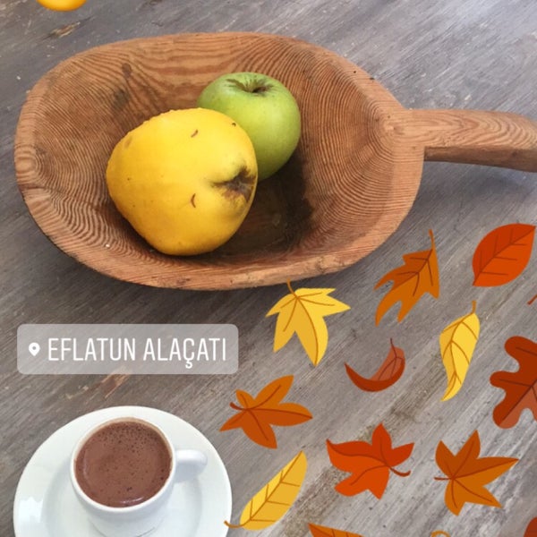 รูปภาพถ่ายที่ Eflatun โดย Ayten Ç. เมื่อ 11/19/2017