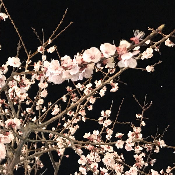 Photos At 杏林堂薬局 志都呂店 浜松市 静岡県