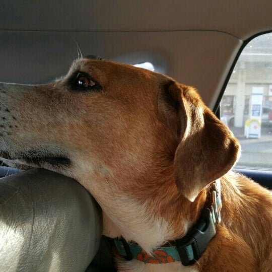 Ace Hardware Northgate 3 tavsiye