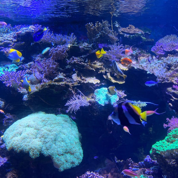 Снимок сделан в New York Aquarium пользователем Petros K. 4/9/2023