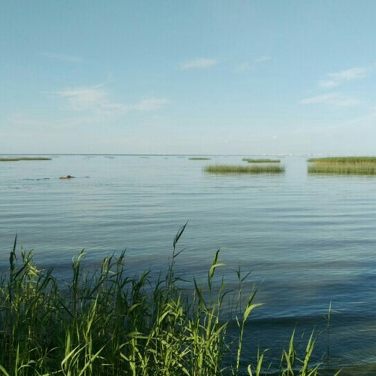 Пляж в мартышкино