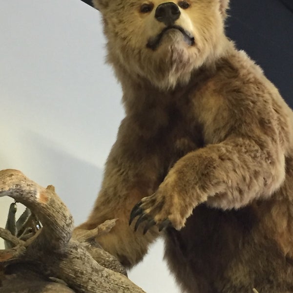 Cowboy Joe's Liquor Barn Evanston, WY