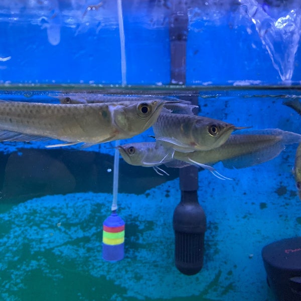 Foto tirada no(a) Pet Zone Tropical Fish por Roger M. em 12/19/2019