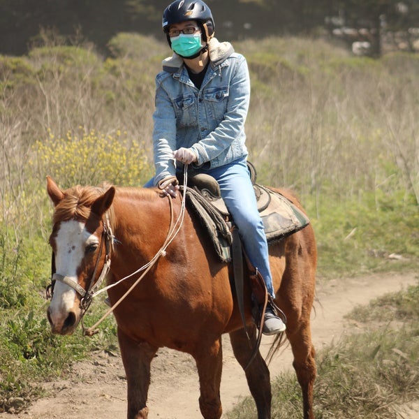 Sea Horse Ranch - 4 tips from 399 visitors