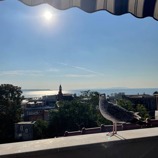 10/15/2021 tarihinde Polina K.ziyaretçi tarafından Hotel Sümengen'de çekilen fotoğraf