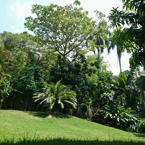 Photos At Habitation Leclerc