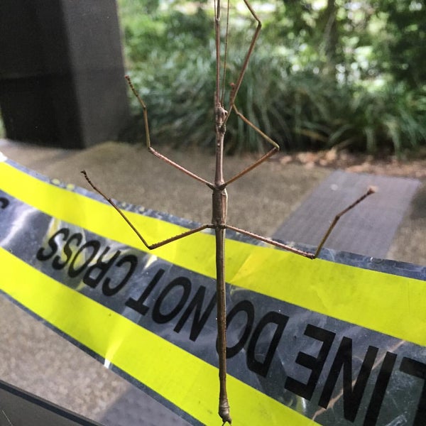 General Purpose South (78) University of Queensland