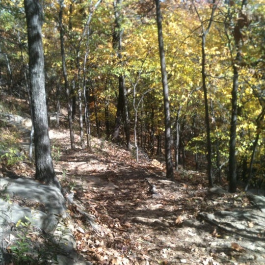 Photo taken at Turkey Mountain Park by Chelsea V. on 11/3/2012