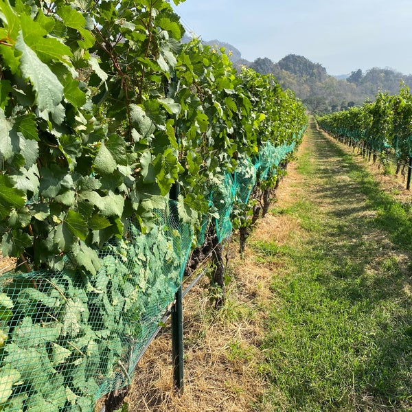 Foto tirada no(a) GranMonte Vineyard and Winery por Trong S. em 1/30/2021