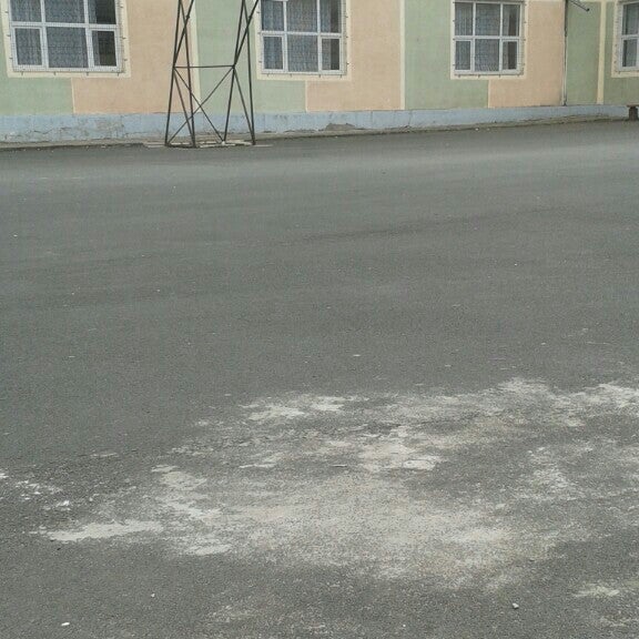 Colegiul Brad Segal Tulcea Tulcea