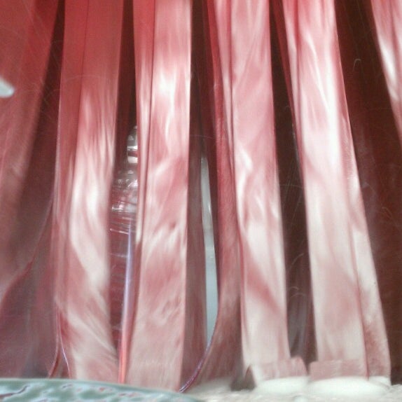 Photos at Coconuts Car Wash Palm Coast, FL