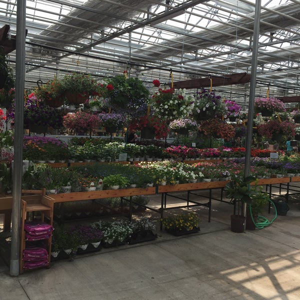 Цветы Эквадор Greenhouses