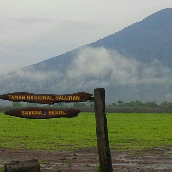 Photo taken at Taman Nasional Baluran (Baluran National Park) by Cebi on 2/11/2016