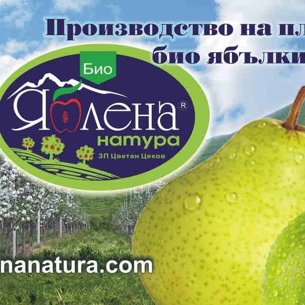 Ботевград Магазин Одежды И Обуви Саранск