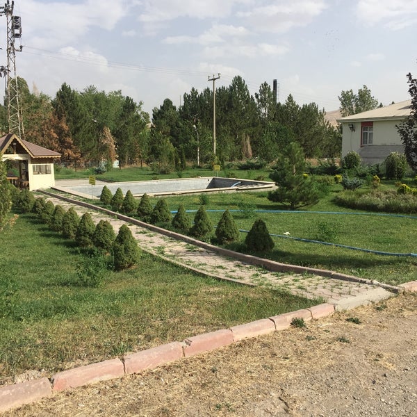 Садовый магазин чехов. Ромашкино парк. Ромашкино парк садовый. Ромашкино парк садовый. Ромашкино парк садовый.