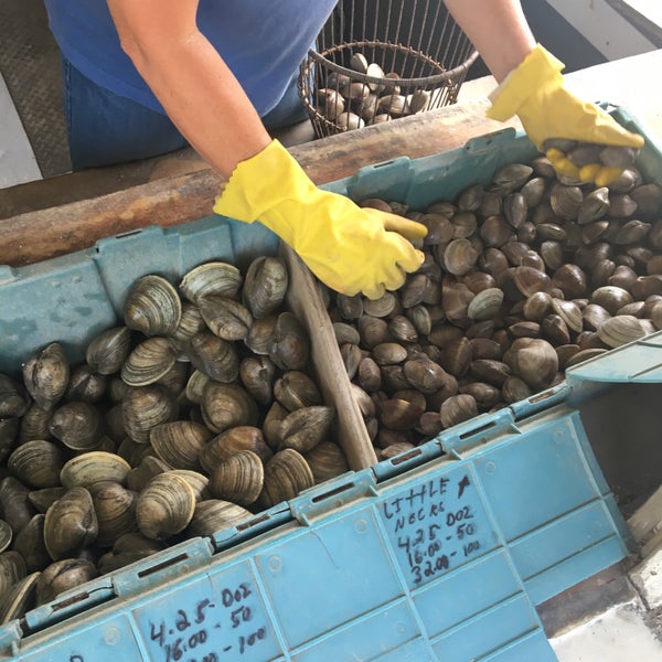 Photos at Blacky's Clam Stand 1128 E Bay Ave