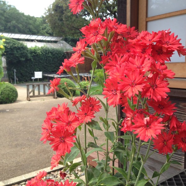 Photos At くらしの植物苑 佐倉市 佐倉市 千葉県