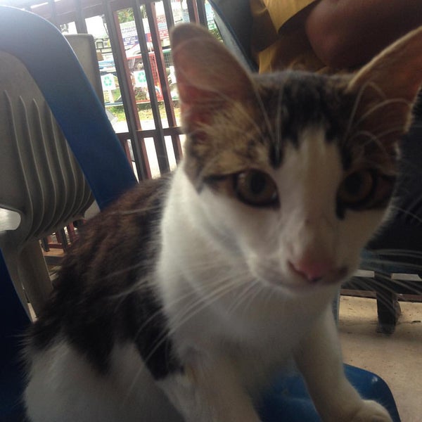 Photos at Masjid Lama Rantau Perintis - Mosque in Bandar Pusat Jengka