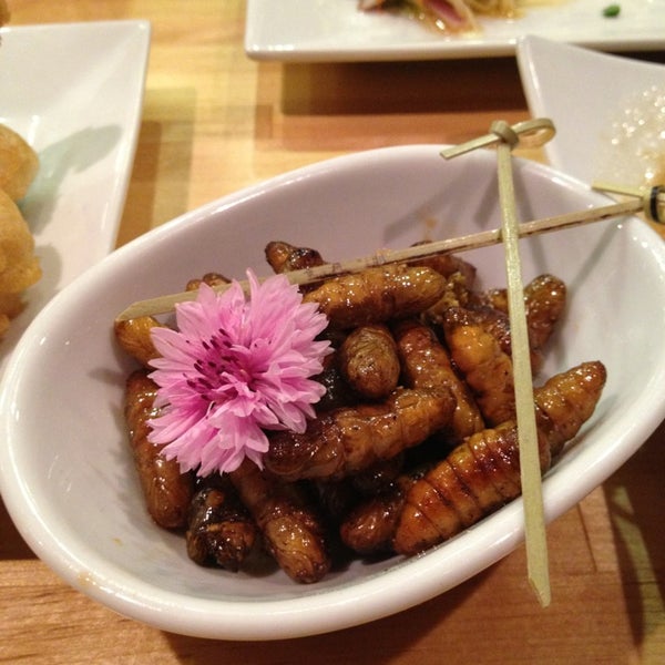 Try the silkworms--really!