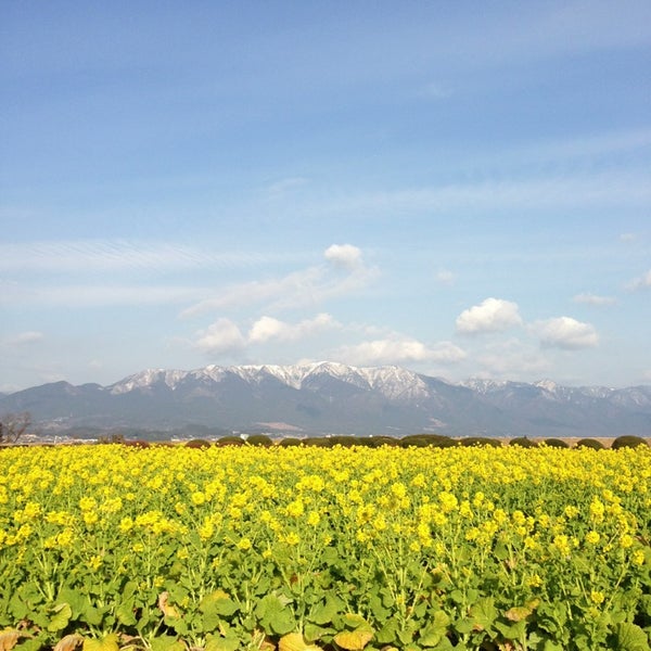 Photos At 第一なぎさ公園 今浜町