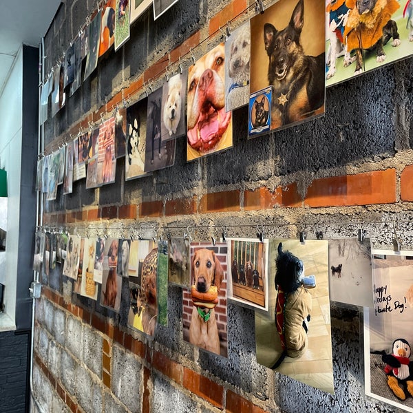 รูปภาพถ่ายที่ Haute Dogs &amp; Fries Restaurant โดย Jason D. เมื่อ 1/27/2022