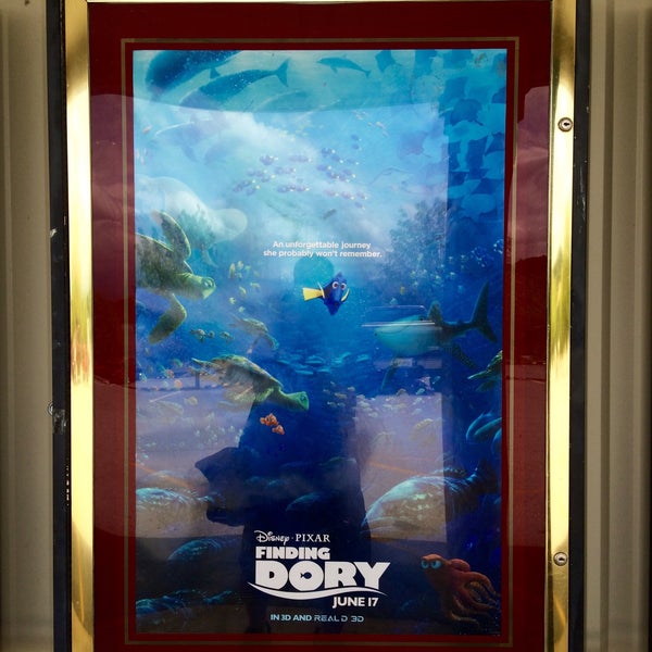 Fieldstone Cinema's Six Cine