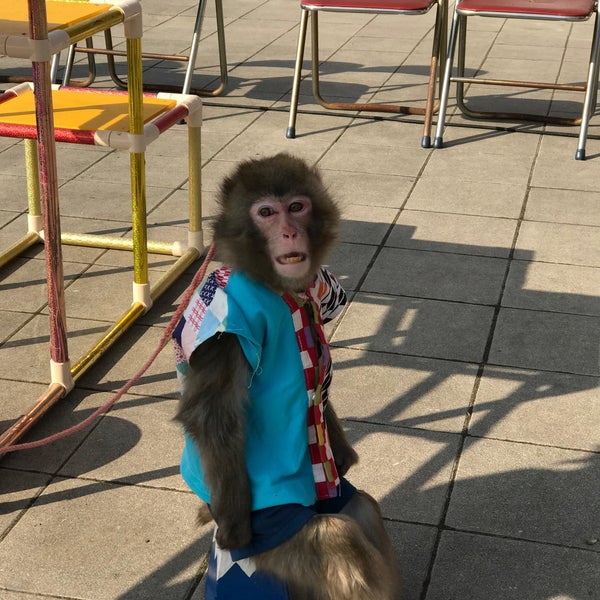 ファーマーズマーケット ぐぅぴぃひろば 1 Tavsiye
