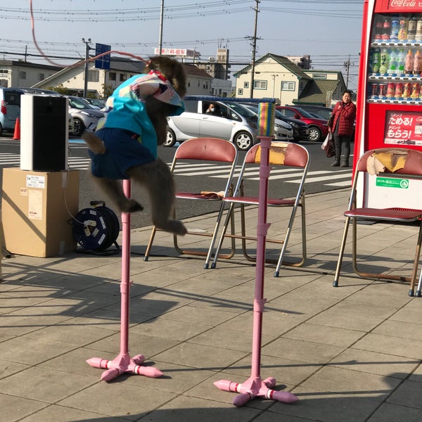 ファーマーズマーケット ぐぅぴぃひろば 1 Tip ファーマーズマーケット ぐぅぴぃひろば 1 Tip