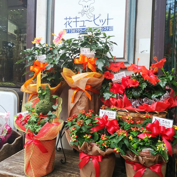 Photos At 花かると 国分町店 仙台市 宮城県
