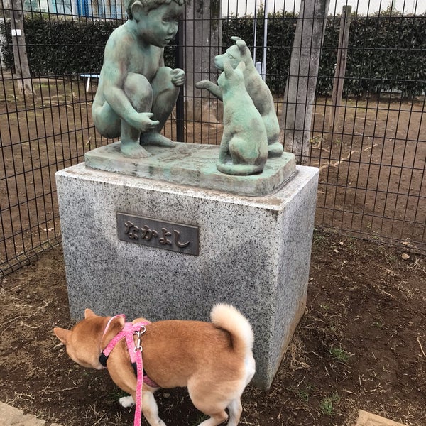 Photos At 千葉市動物保護指導センター Animal Shelter