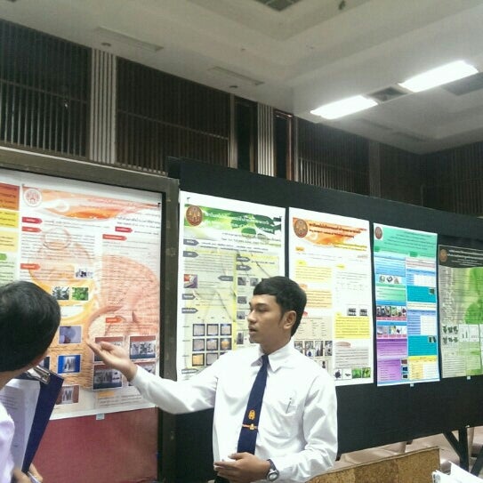My Image 16